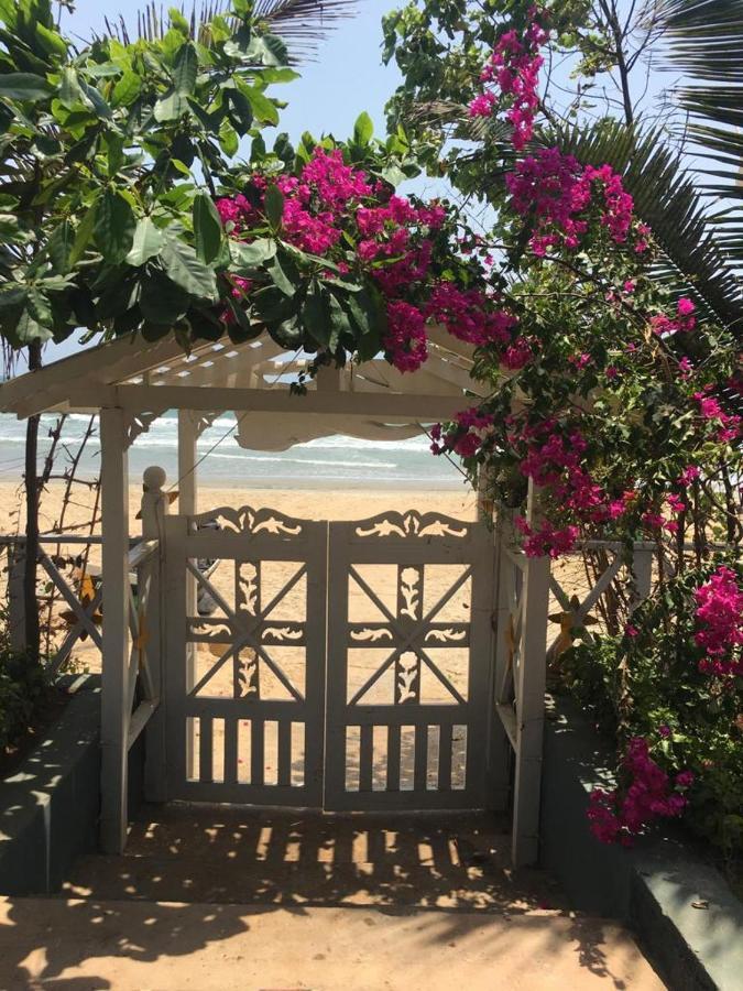 Pele's Windsong Wood On The Beach Guest house *