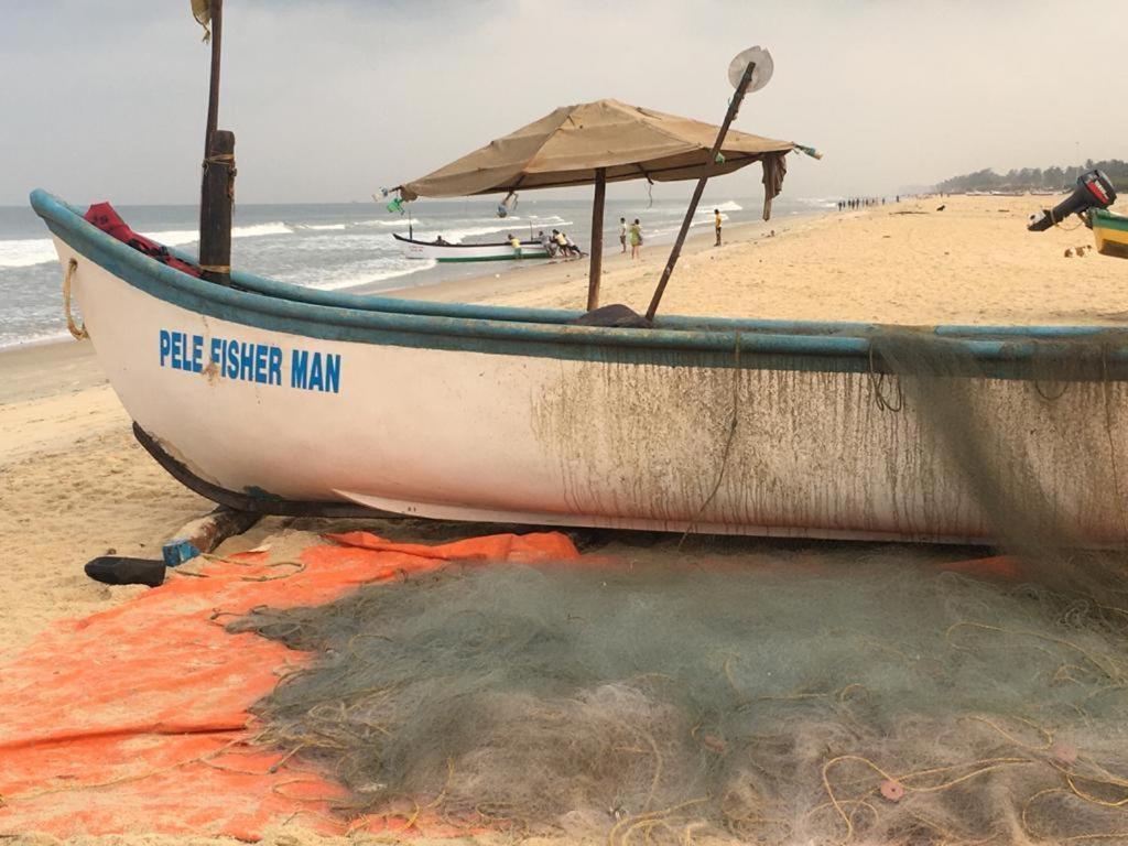 Pele's Windsong Wood On The Beach Benaulim
