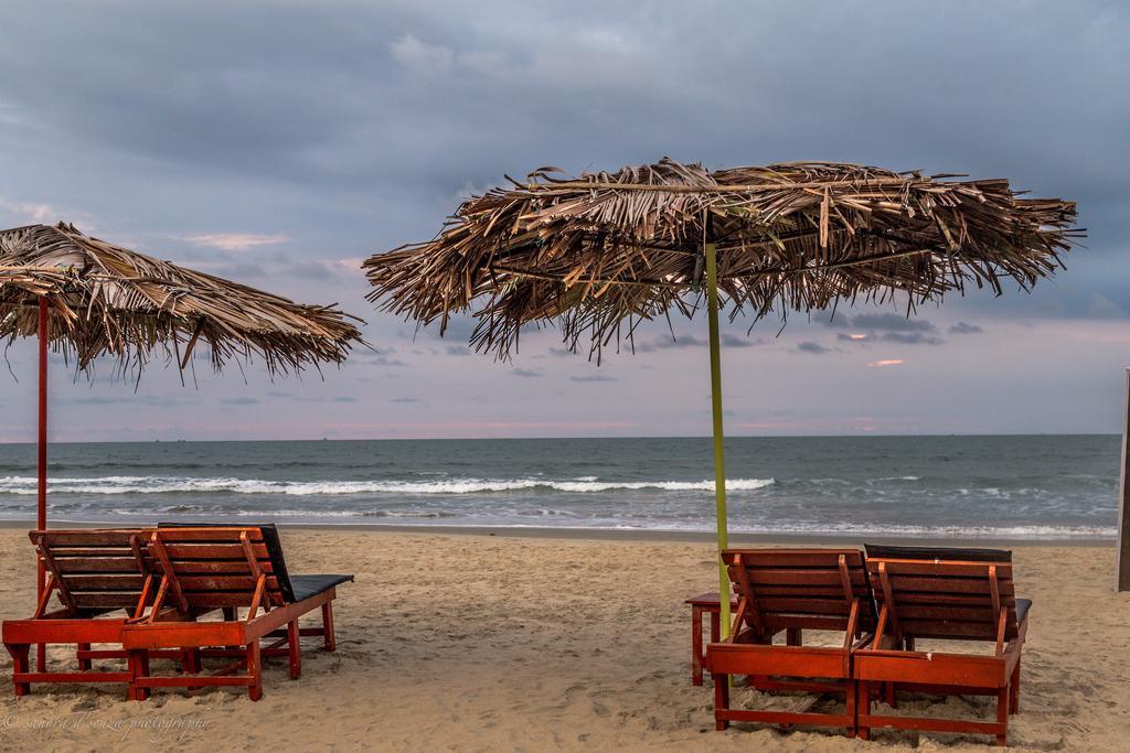 Pele's Windsong Wood On The Beach *