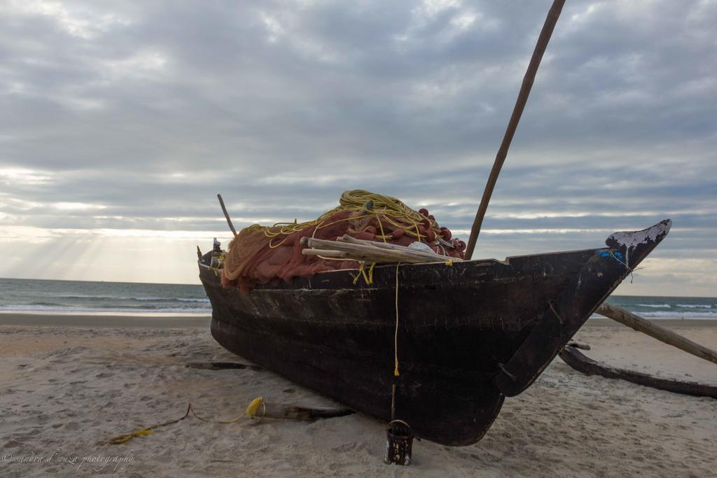 Pele's Windsong Wood On The Beach * Benaulim